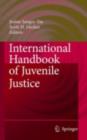 Image for International handbook of juvenile justice