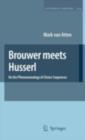 Image for Brouwer meets Husserl: on the phenomenology of choice sequences