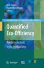 Image for Quantified Eco-Efficiency : An Introduction with Applications