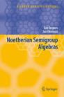 Image for Noetherian semigroup algebras