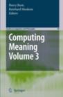 Image for Computing meaning.