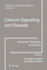 Image for Calcium Signalling and Disease.