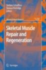 Image for Skeletal muscle repair and regeneration : 3