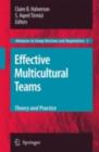 Image for Effective multicultural teams: theory and practice