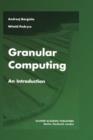 Image for Granular computing  : an introduction