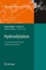 Image for Hydrosilylation: a comprehensive review on recent advances : v. 1