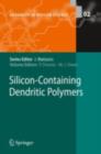 Image for Silicon-containing dendritic polymers : 2