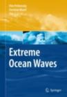 Image for Extreme ocean waves