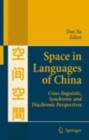 Image for Space in languages of China: cross-linguistic, synchronic and diachronic perspectives