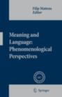 Image for Meaning and language: phenomenological perspectives