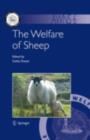 Image for The welfare of sheep