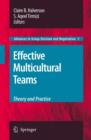 Image for Effective multicultural teams  : theory and practice