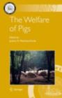 Image for The welfare of pigs