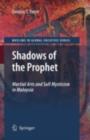 Image for Shadows of the prophet: martial arts and sufi mysticism.