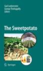 Image for The sweetpotato