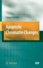 Image for Apoptotic chromatin changes