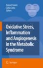 Image for Oxidative stress, inflammation and angiogenesis in the metabolic syndrome