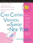 Image for Child Custody, Visitation and Support in New York