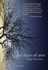 Image for The days of awe: a novel.