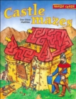 Image for Castle mazes