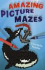 Image for Amazing Picture Mazes