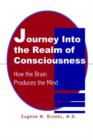 Image for Journey into the Realm of Consciousness : How the Brain Produces the Mind