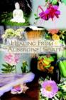 Image for Healing from an Aubergine Spirit: Sequel to: Prose from an Aubergine Spirit