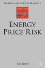 Image for Energy price risk  : trading and price risk management