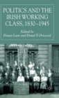 Image for Politics and the Irish Working Class, 1830–1945