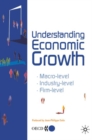 Image for Understanding Economic Growth