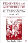 Image for Feminism and Motherhood in Western Europe, 1890–1970