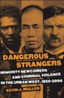 Image for Dangerous Strangers : Minority Newcomers and Criminal Violence in the Urban West, 1850-2000