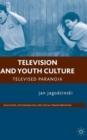 Image for Television and youth culture