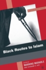 Image for Black Routes to Islam