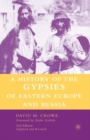 Image for A History of The Gypsies of Eastern Europe and Russia