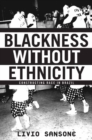Image for Blackness without ethnicity: constructing race in Brazil