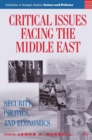 Image for Critical issues facing the Middle East: security, politics, and economics
