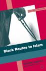 Image for Black Routes to Islam