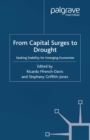 Image for From capital surges to drought: seeking stability for emerging economies