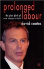 Image for Prolonged labour  : the slow birth of New Labour in Britain