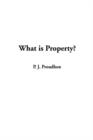 Image for What is Property?