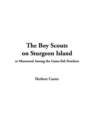 Image for The Boy Scouts on Sturgeon Island or Marooned among the Game-Fish Poachers
