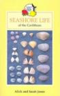 Image for Seashore Life of the Caribbean