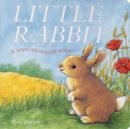 Image for Little Rabbit  : a soft-to-touch book