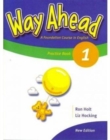 Image for Way Ahead 1 Grammar Practice Book Revised