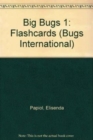 Image for Big Bugs 1 Flashcards International