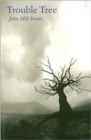 Image for Macmillan Caribbean Writers: Trouble Tree
