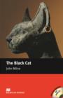 Image for The black cat