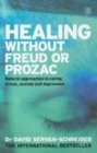 Image for Healing without Freud or Prozac  : natural approaches to curing stress, anxiety and depression without drugs and without psychoanalysis