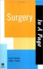 Image for In A Page Surgery